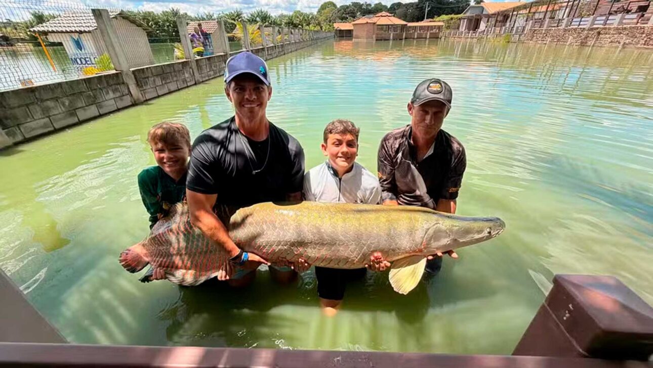 peixe-citado-pela-família-foi-o-pirarucu-de-130-kg-pescado-por-Davi-em-Itapuranga
