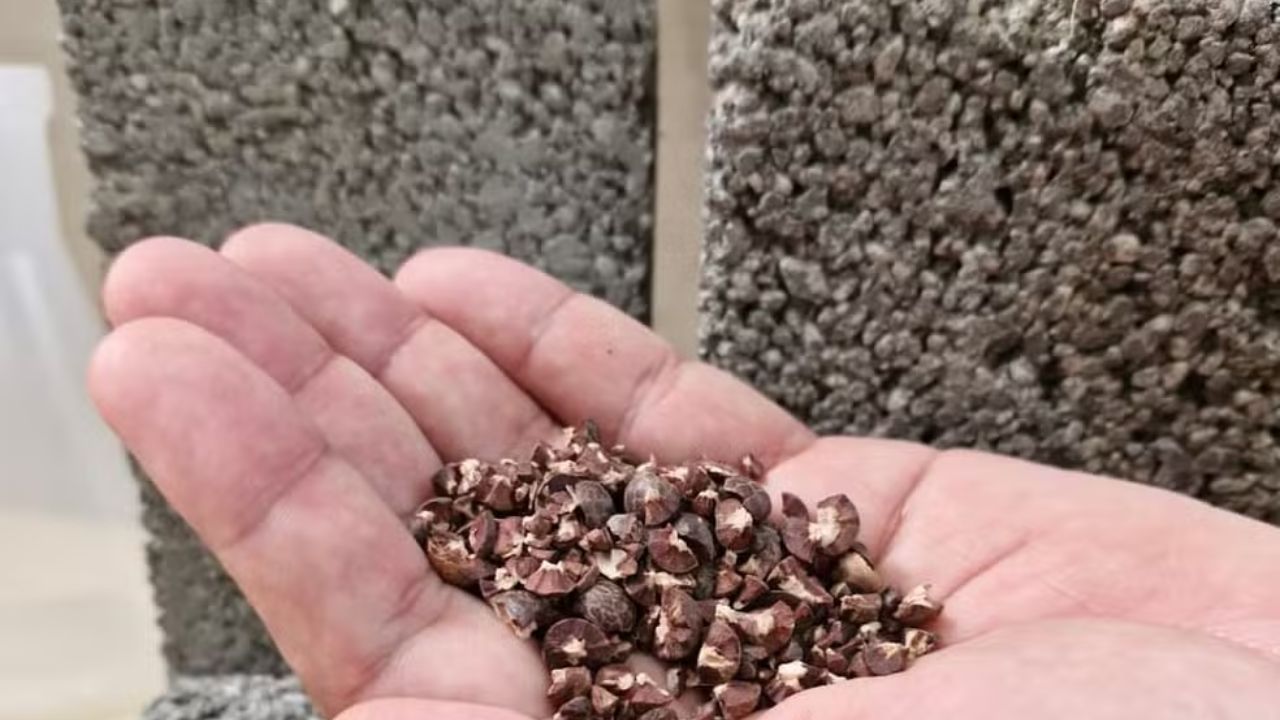 Pesquisas sobre cimento sustentável utilizam resíduos de celulose, açaí e pneus para reduzir emissões de carbono e ampliar a economia circular.