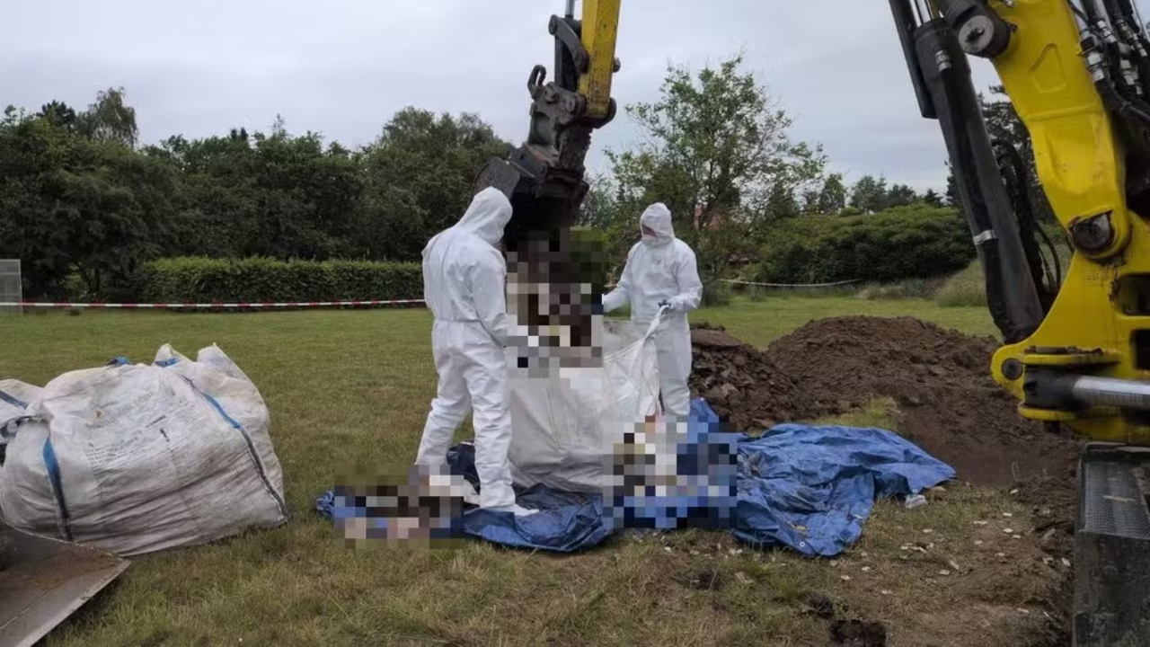 Autoridades da Polônia investigam médica após descoberta de 34 fetos enterrados em antiga propriedade. Caso provoca comoção e levanta diversas perguntas.
