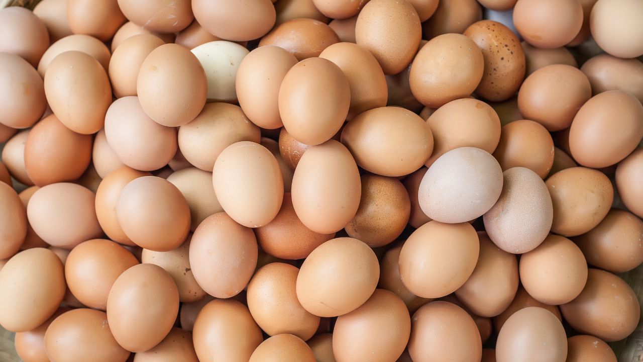Frango vivo ganha poder de compra em São Paulo com ração mais barata, enquanto o preço do ovo recua diante da demanda enfraquecida em junho.