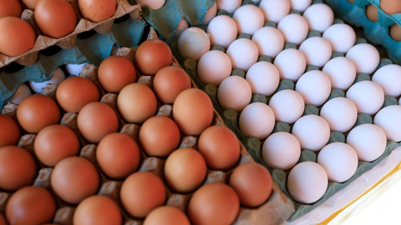 Frango vivo ganha poder de compra em São Paulo com ração mais barata, enquanto o preço do ovo recua diante da demanda enfraquecida em junho.