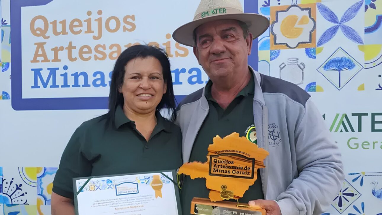 Fazenda Só-Nata, em Araxá, produz 250 queijos por dia