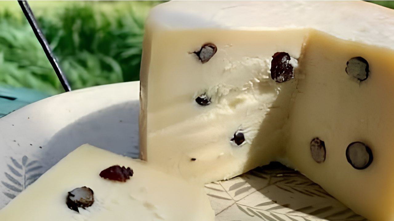 Understand the nutritional composition, the molding process, and the aromatic notes of Taiada Cheese, an innovative recipe that combines cheese and ants.