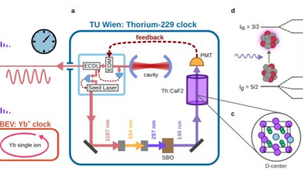 Una representación esquemática del reloj nuclear del equipo europeo. (Toscani De Col et al., arXiv, 2026)