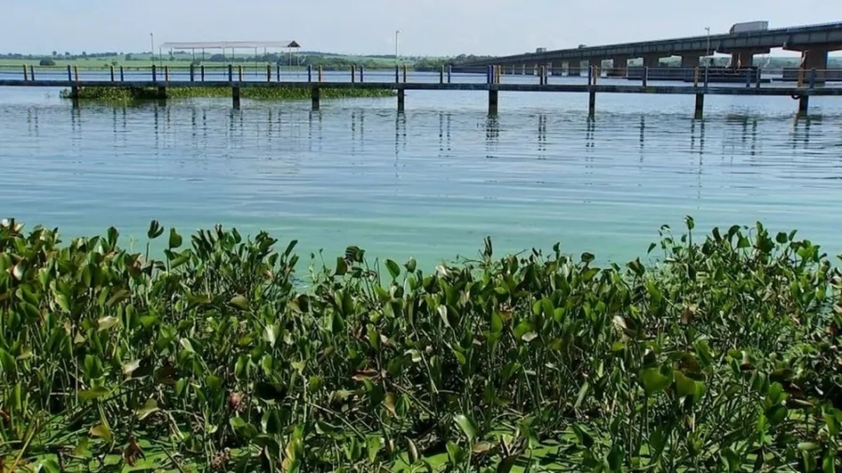 Rio Tietê com manchas verdes de algas na água e vegetação aquática nas margens, próximo a ponte, em imagem relacionada ao controle ambiental da Cetesb.