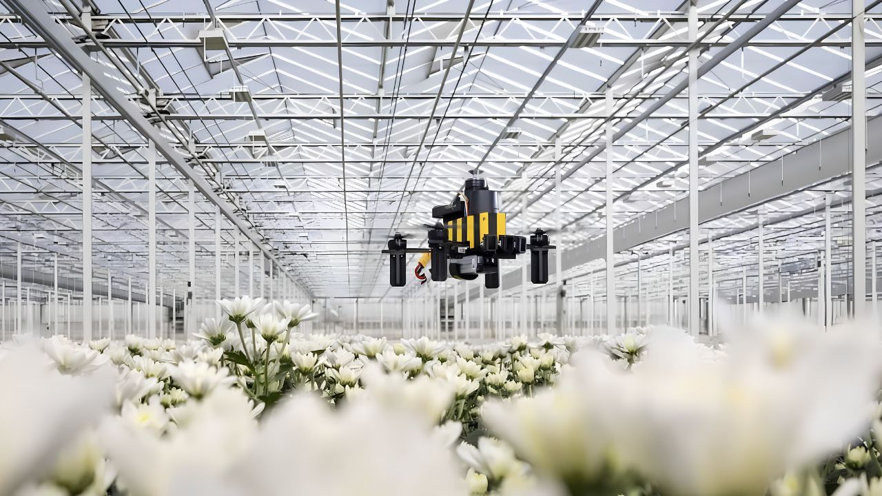 Drone created by scientists in the Netherlands can return to the origin point without GPS using a method inspired by bees.