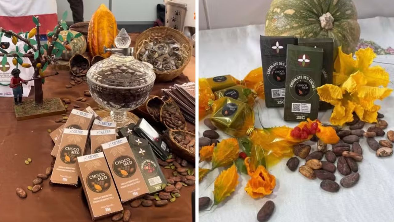 Estudantes desenvolvem chocolate para diabetes com ingredientes selecionados e avançam em pesquisa voltada à alimentação saudável.