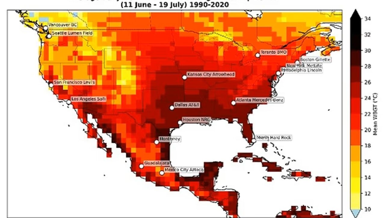 Heat in the World Cup