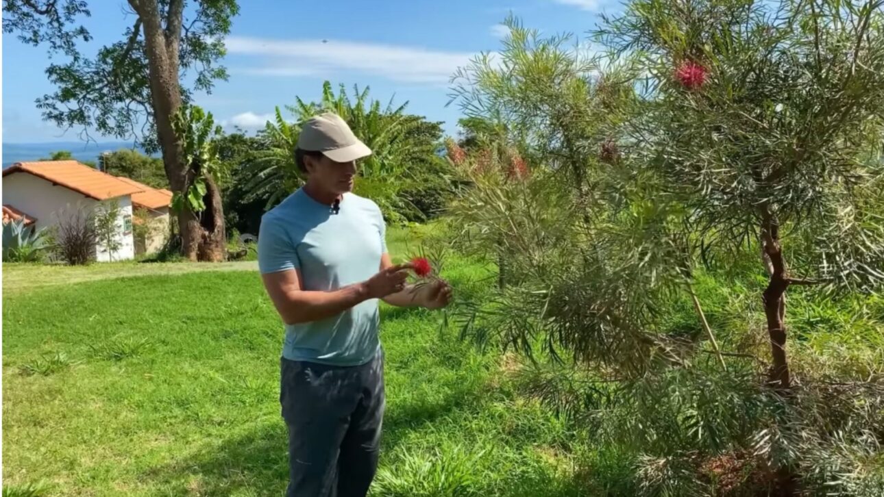 Victor Fasano em projeto de preservação ambiental na Serra da Canastra observando aves e plantas nativas.