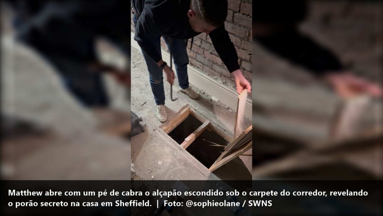 Alçapão aberto revela o porão secreto — @sophieolane / SWNS