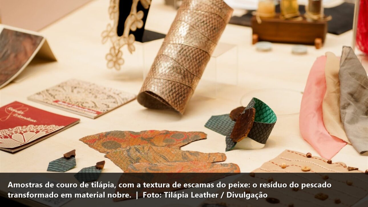 Amostras de couro de tilápia (escamas) — Tilápia Leather/Divulgação