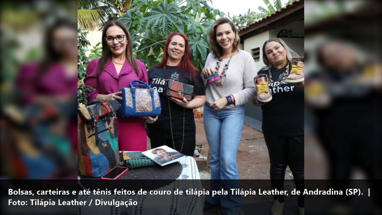Amostras de couro de tilápia (escamas) — Tilápia Leather/Divulgação