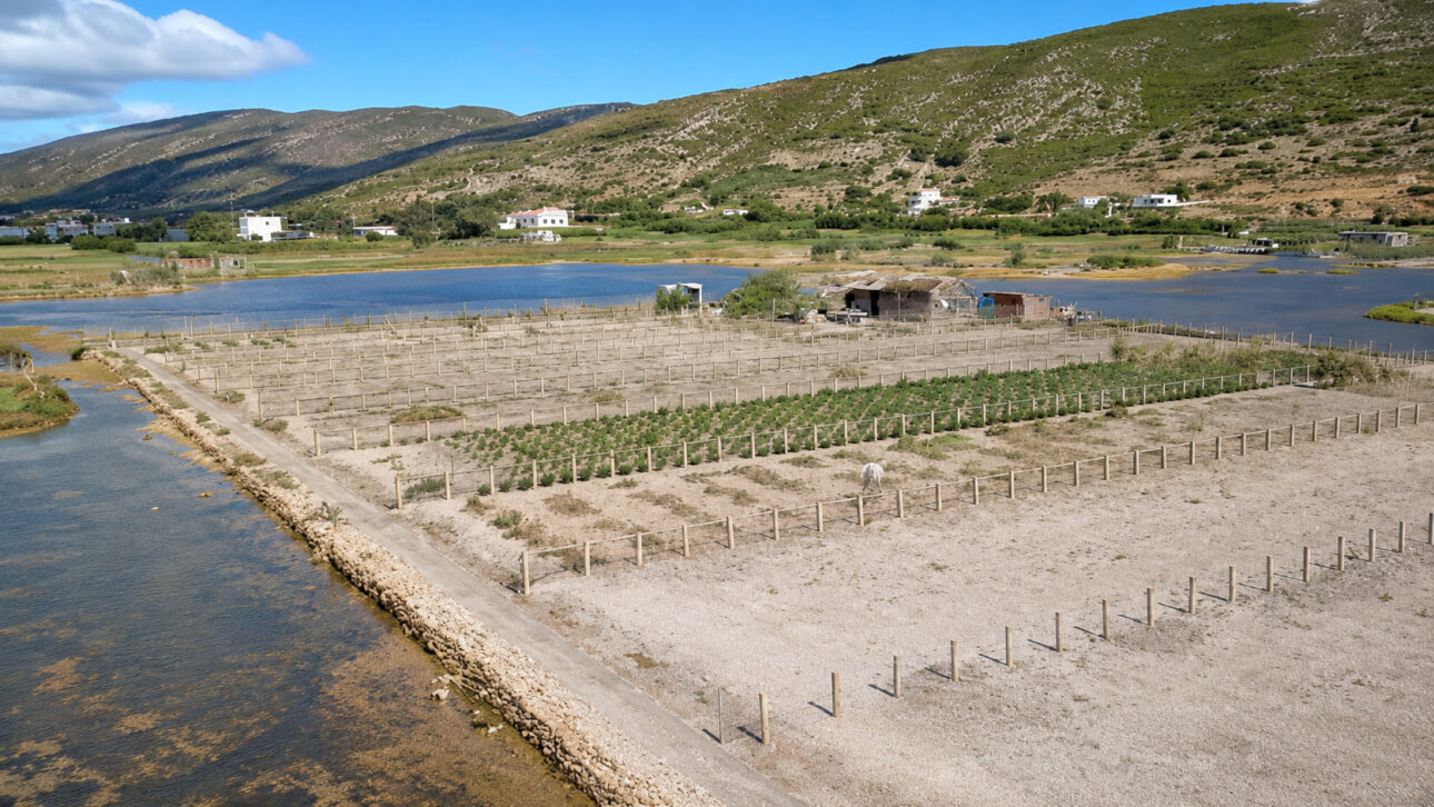 A técnica surgiu no século XVII, quando comunidades vindas da Andaluzia chegaram a uma região com pouca terra própria para agricultura e limitada oferta de água doce.
