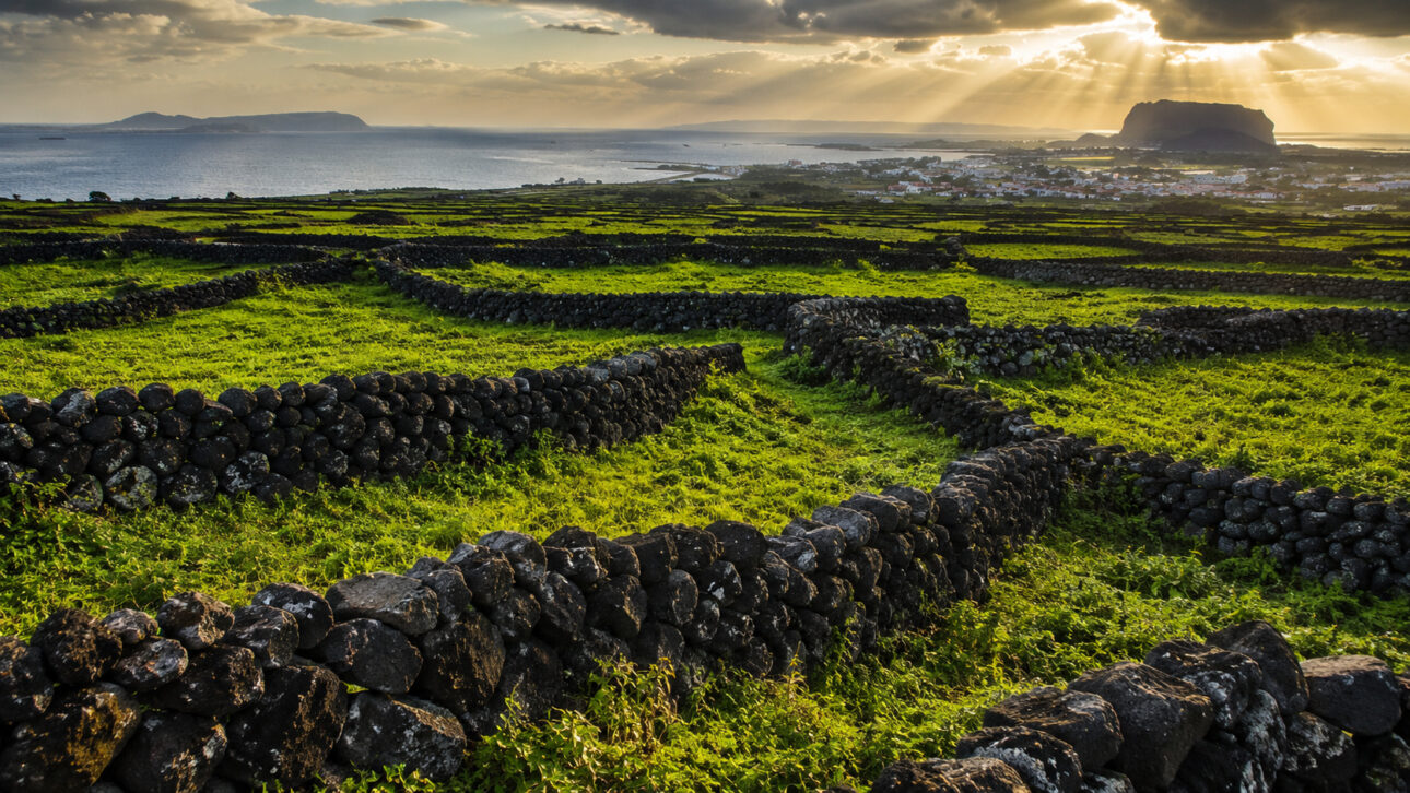 Agricultores da ilha de Jeju retiraram pedras vulcânicas que dificultavam o plantio e as transformaram em 22 mil quilômetros de muros sem argamassa.