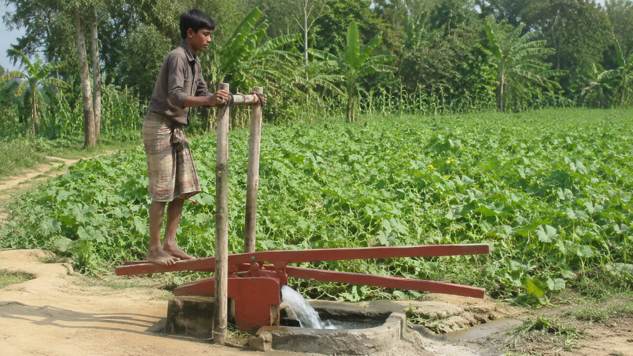 Bangladesh farmers use two bamboo levers, stepping as if climbing stairs, and pump up to thousands of liters of water per day without engine, diesel, or electricity