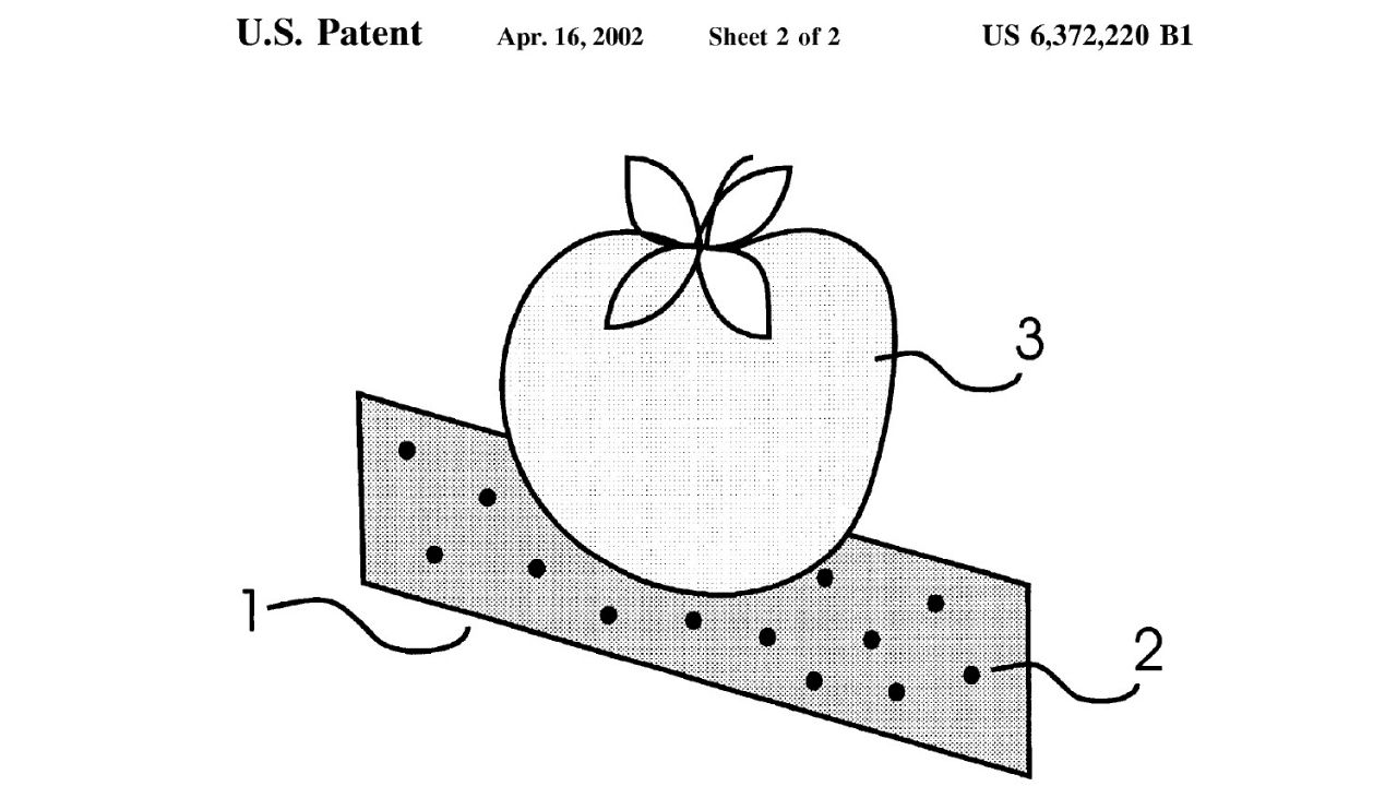 Leaf that preserves fruits became FreshPaper, reduces food waste, works without a refrigerator, and is patented in the USA.
