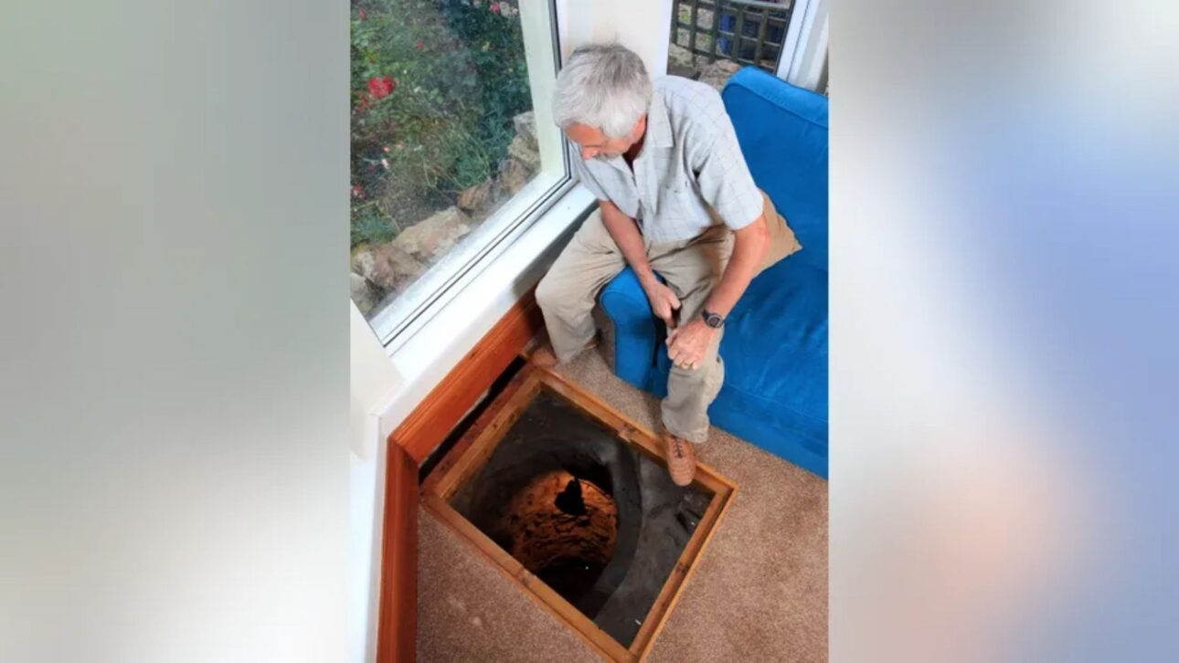 Steer instalou uma porta de alçapão sobre o poço e colocou luzes para ajudar a destacá-lo. (SWNS)