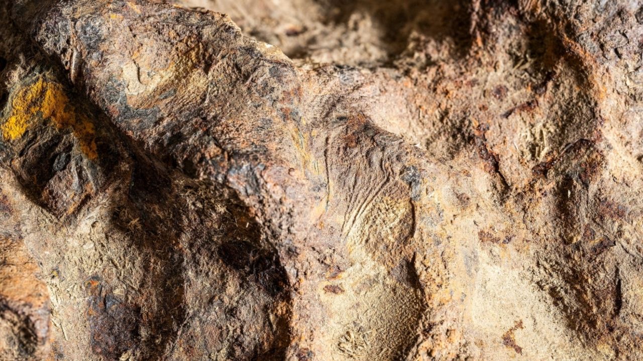 Iron meteorite in Dane County arrives at the Geology Museum in Wisconsin and connects farm to the Solar System.