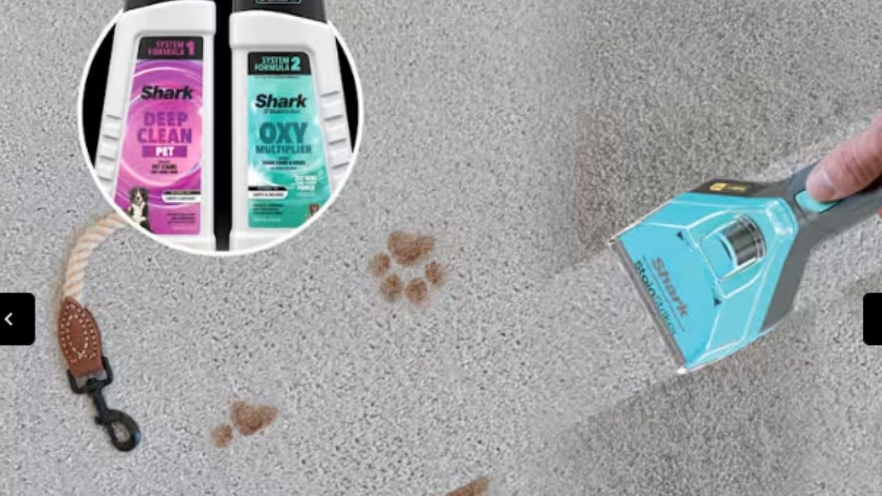 aspirador para tapetes promete remover pelos de cachorro, entregar limpeza profunda e neutralizar odores de pets em casa.
