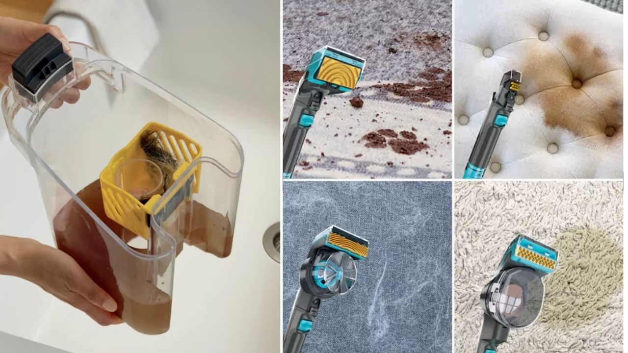 aspirador para tapetes promete remover pelos de cachorro, entregar limpeza profunda e neutralizar odores de pets em casa.