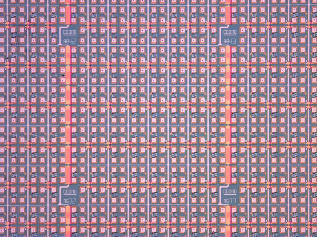 Pastilha de silício com centenas de chips de memória prontos para serem cortados