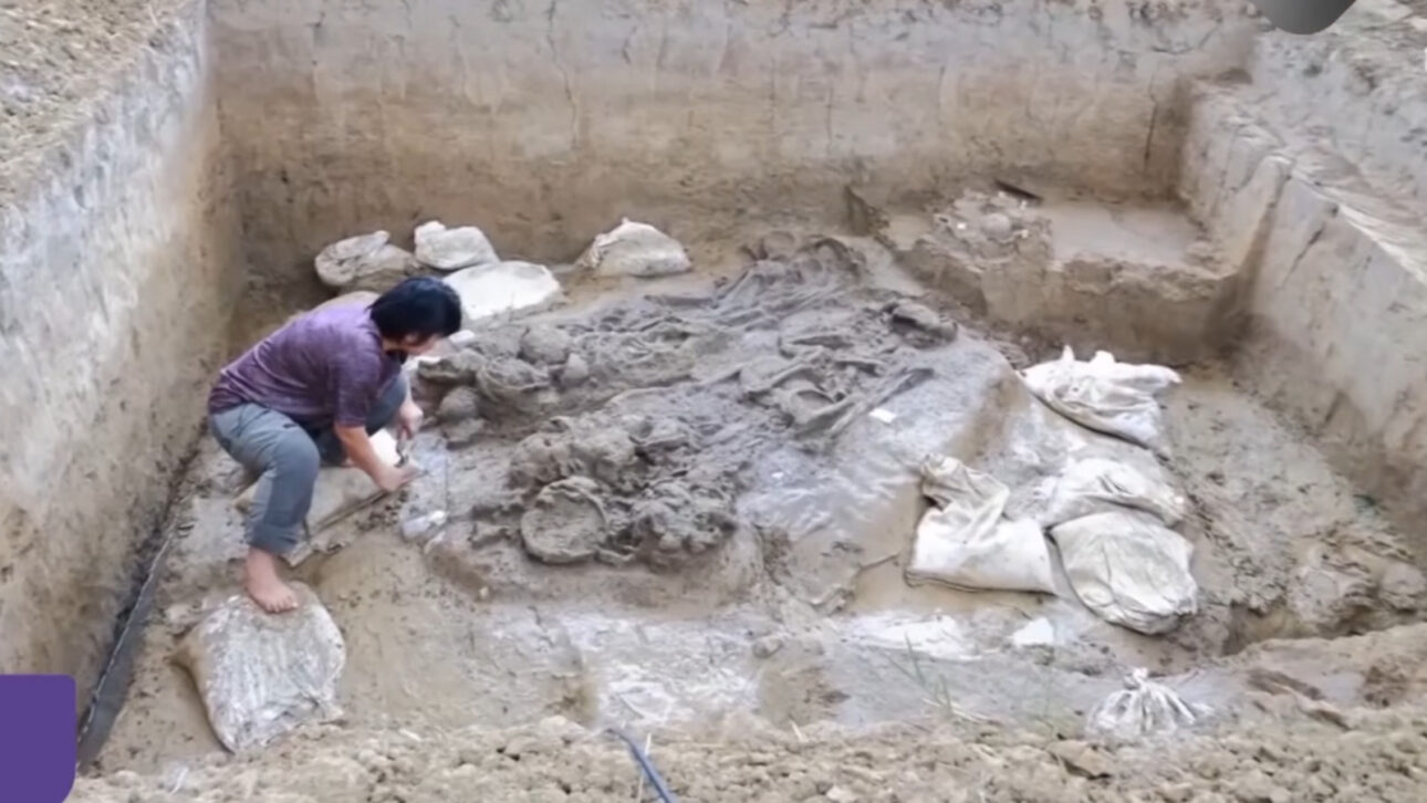 Findings by archaeologists in excavation in Thailand, 2,000-year-old gold rings may indicate the tomb of a wealthy person from the Iron Age