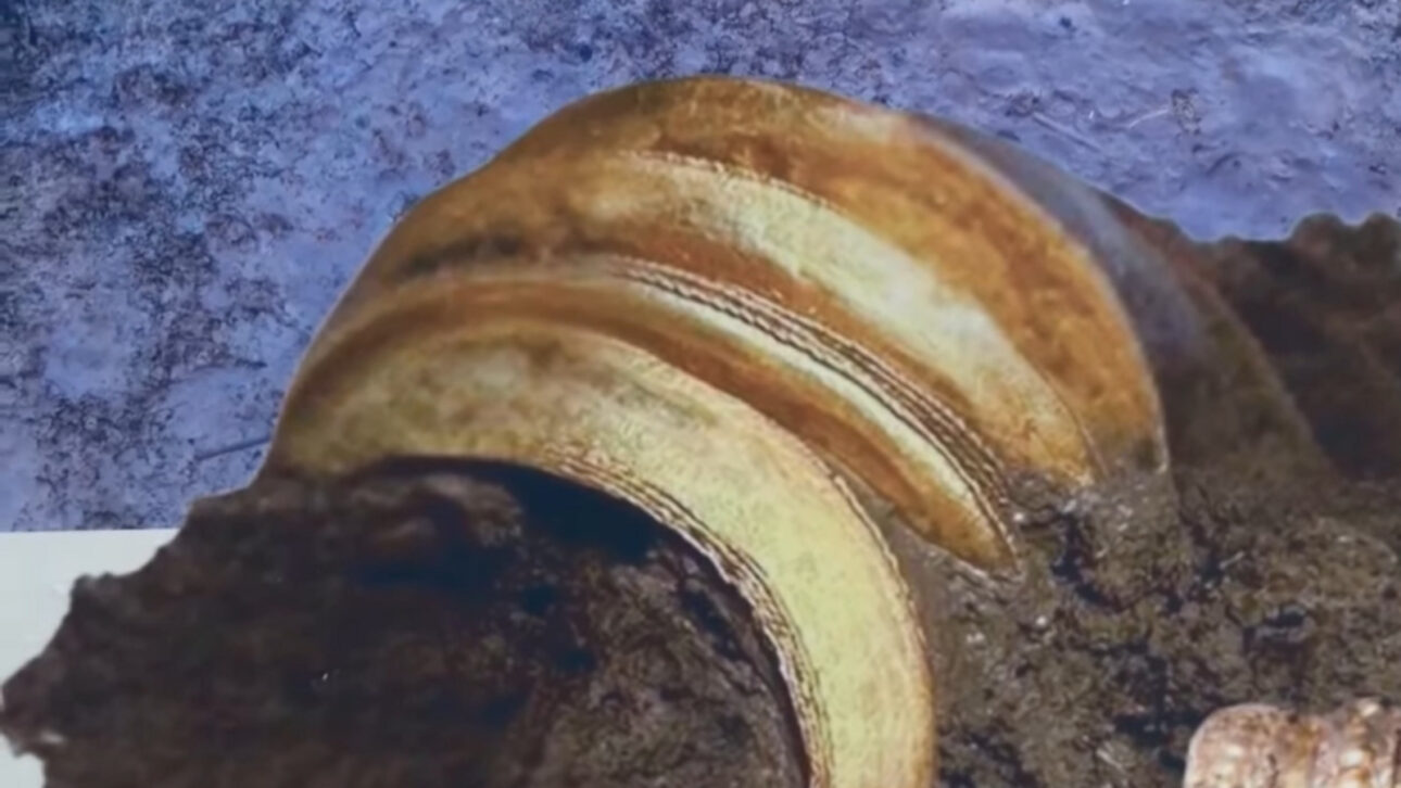 Findings by archaeologists in excavation in Thailand, 2,000-year-old gold rings may indicate the tomb of a wealthy person from the Iron Age
