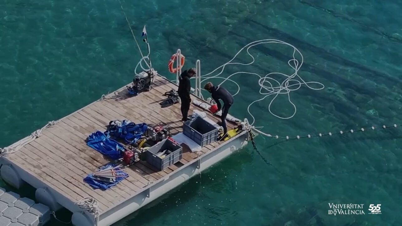 14 mergulhadores se reúnem e retiram, peça por peça, navio fenício de 2.600 anos do fundo do mar na Espanha após ameaça à preservação dos destroços