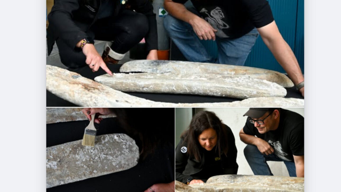 Three 70 kg lead ingots from the 17th century are found stacked on the bottom of the North Sea during an investigation for the Hornsea 3 wind farm, 120 km off the coast of Norfolk