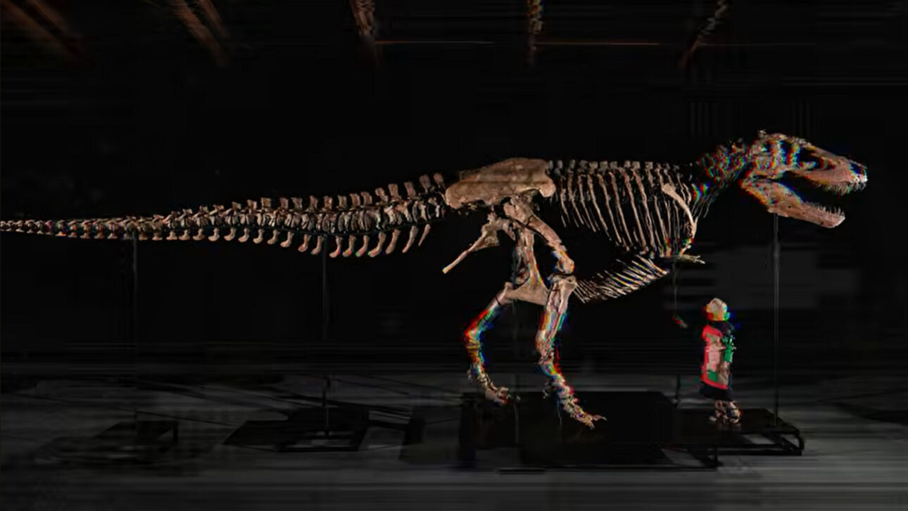 Homem desembolsa R$ 255 milhões por T. rex de 67 milhões de anos, supera estimativa e quebra recorde mundial em leilão de dinossauros