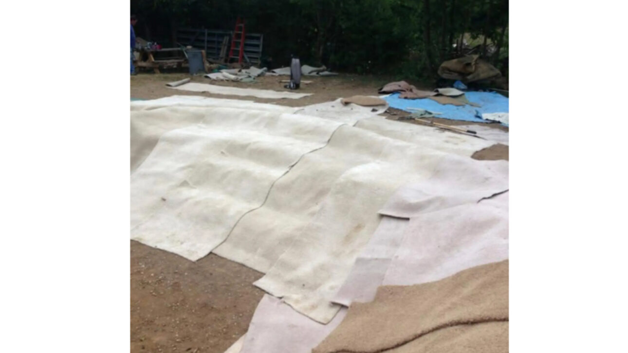 After being shocked by a price of $25,000, woman digs the ground, reuses pump, filter, and deck, and creates a lagoon pool for less than $2,000 in just one month