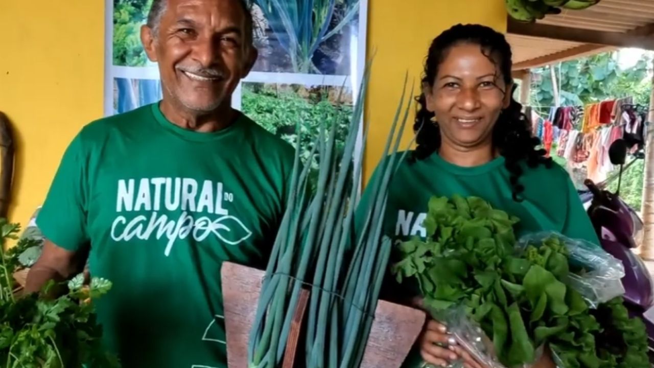 Casal conquistou a terra após 16 anos de luta, transformou apenas meio hectare de hortaliças na principal fonte de renda da família e triplicou os ganhos com apoio técnico, mas especialistas