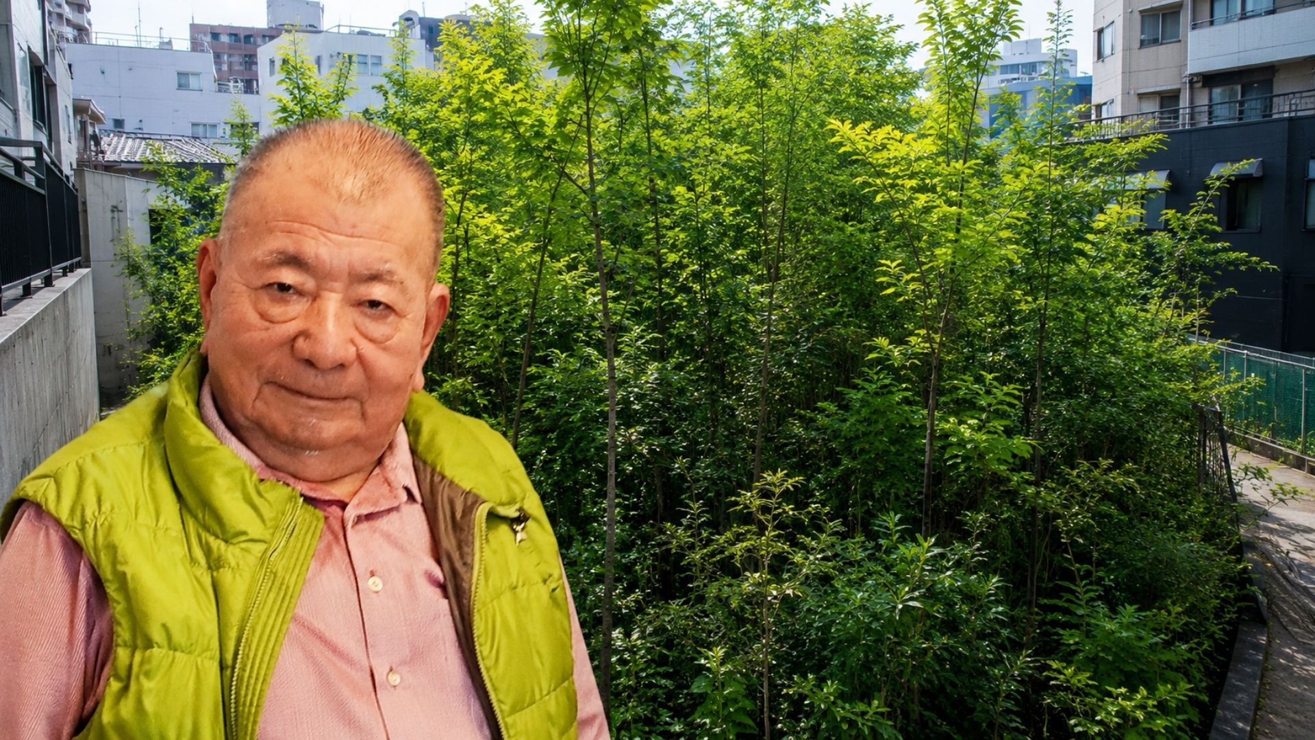 O método Miyawaki, do botânico Akira Miyawaki, cria floresta nativa densa em pouco espaço e virou febre no reflorestamento urbano, mas a ciência pede cautela.