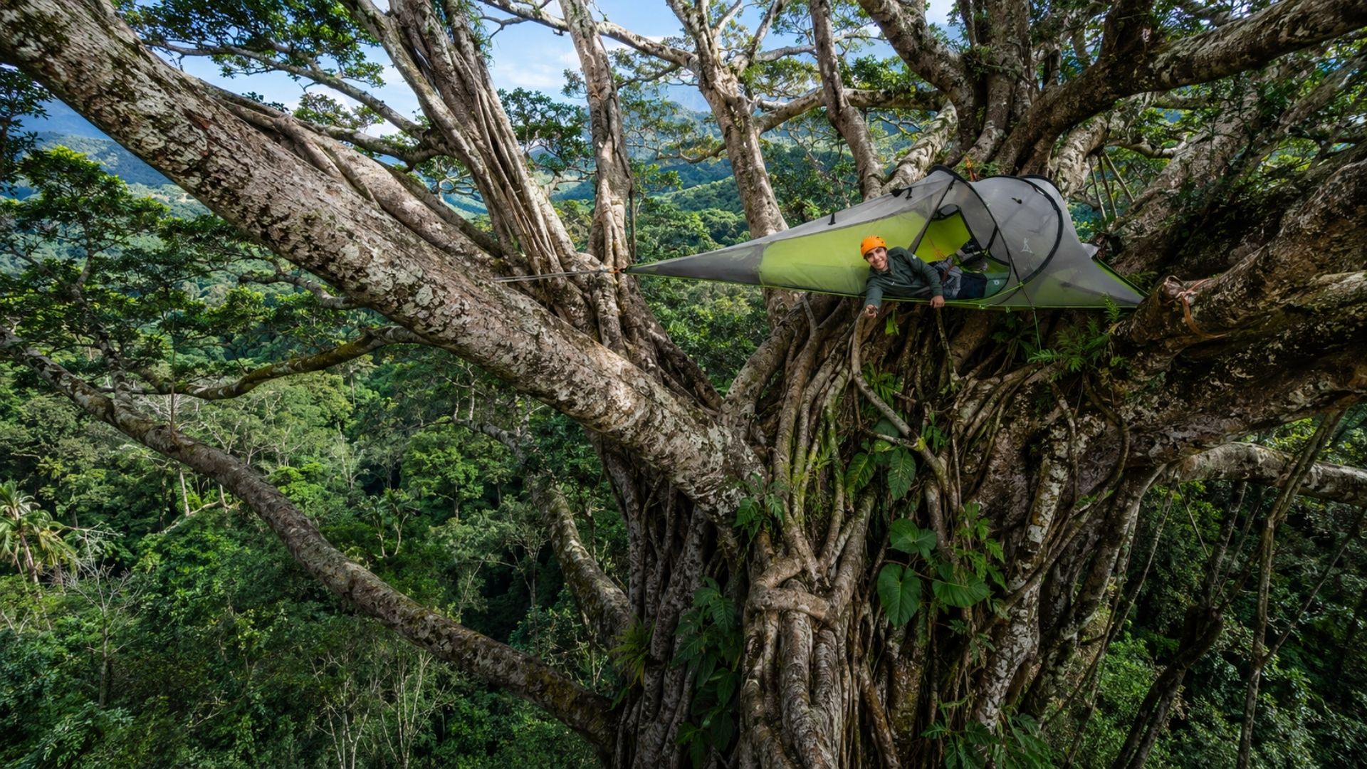 Aventureiro escalou sozinho uma figueira-mata-pau gigante na Costa Rica e dormiu na copa: veja a escalada e a biologia dessa árvore da natureza.