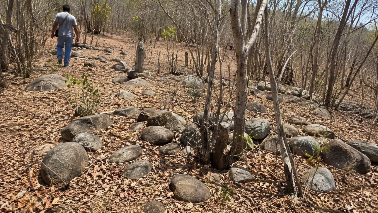 Man walks through dry forest terrain with stones and archaeological remains linked to ancient indigenous settlements in Mexico.