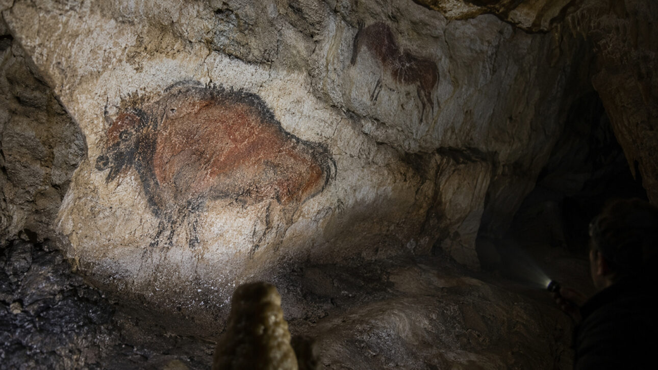 Cave painting of a bison preserved on a limestone wall, illuminated by a researcher inside a cave.
