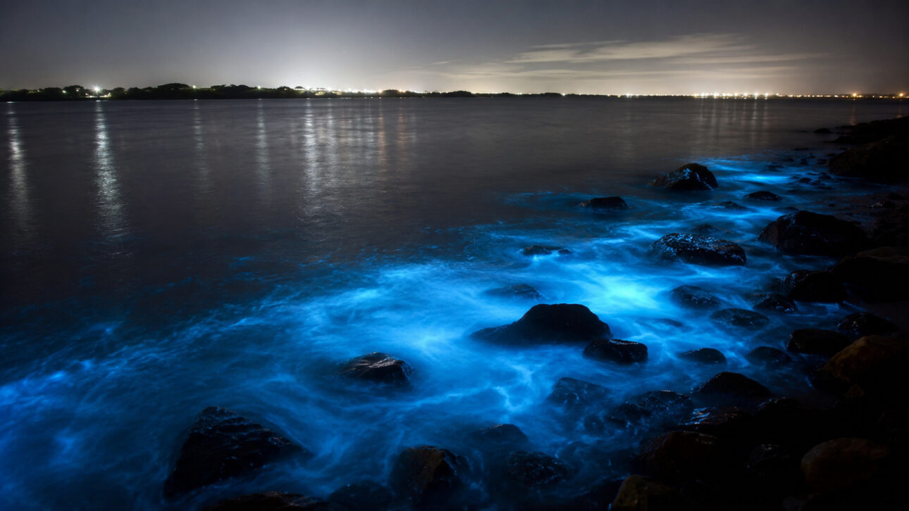 Mar com brilho azul neon provocado por bioluminescência entre rochas no litoral cearense.