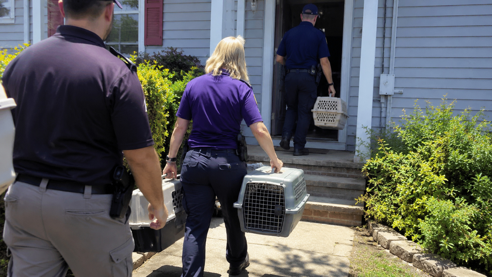 Agentes de proteção animal transportam caixas de transporte durante operação de resgate em uma residência de Long Island, onde mais de 155 animais foram encontrados em condições insalubres.