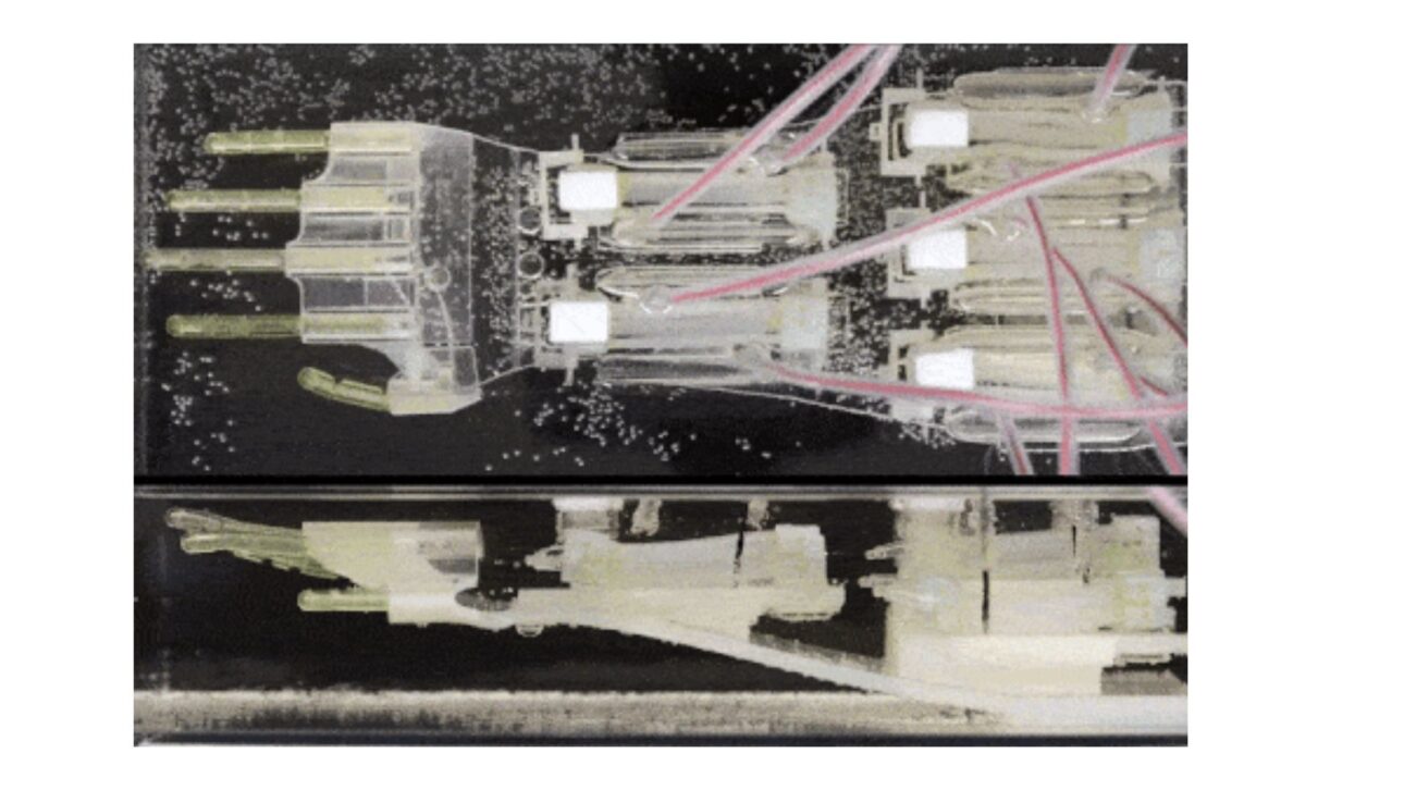 Rock, paper, scissors. The complex combination of movements necessary for this simple scissor gesture represents a significant advance over the capabilities of previous biohybrid robots. © X. Ren, Y. Morimoto and S. Takeuchi, 2025/ Science Robotics