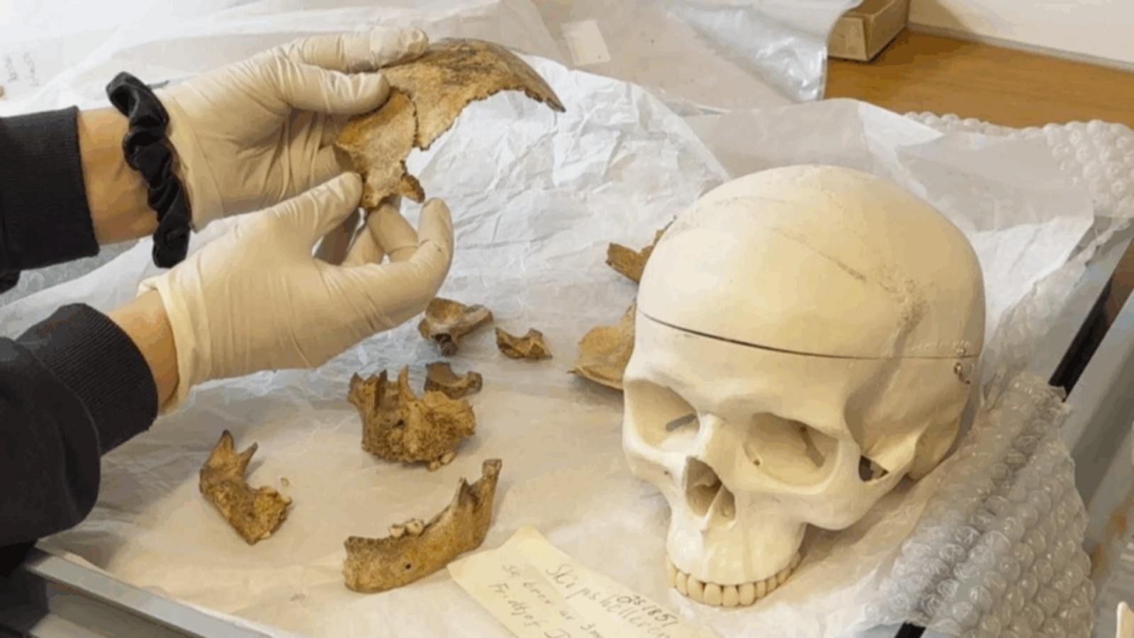 Achado raro na Noruega: crânio infantil de 4 mil anos é encontrado em abrigo pré-histórico que também serviu como moradia e cemitério