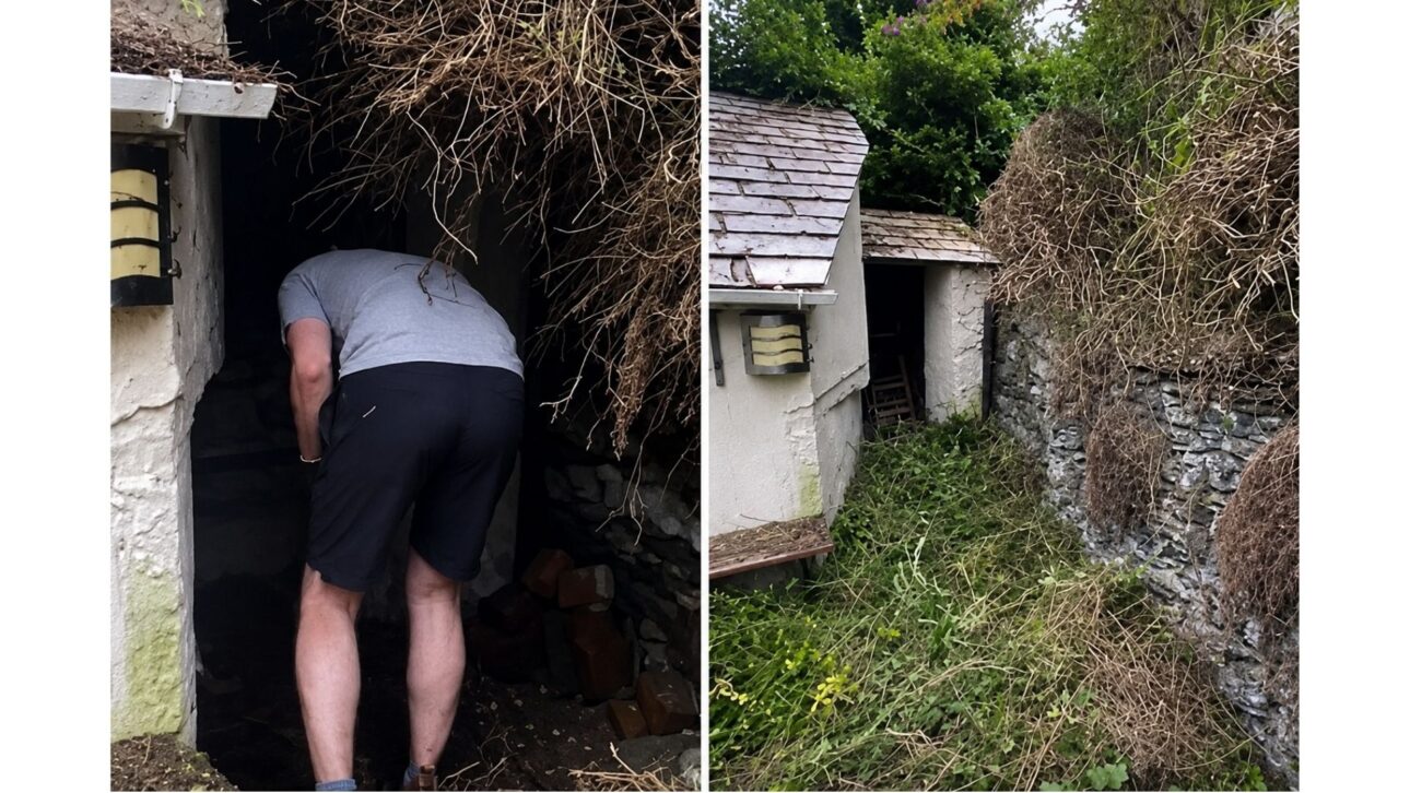 Os novos proprietários tiveram uma descoberta chocante enquanto cuidavam do jardim abandonado no quintal. Instagram/@camelcottagerenovation