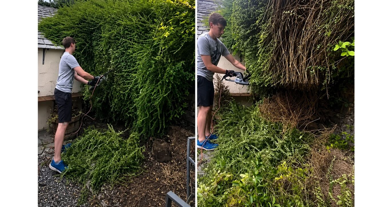 Os novos proprietários tiveram uma descoberta chocante enquanto cuidavam do jardim abandonado no quintal. Instagram/@camelcottagerenovation