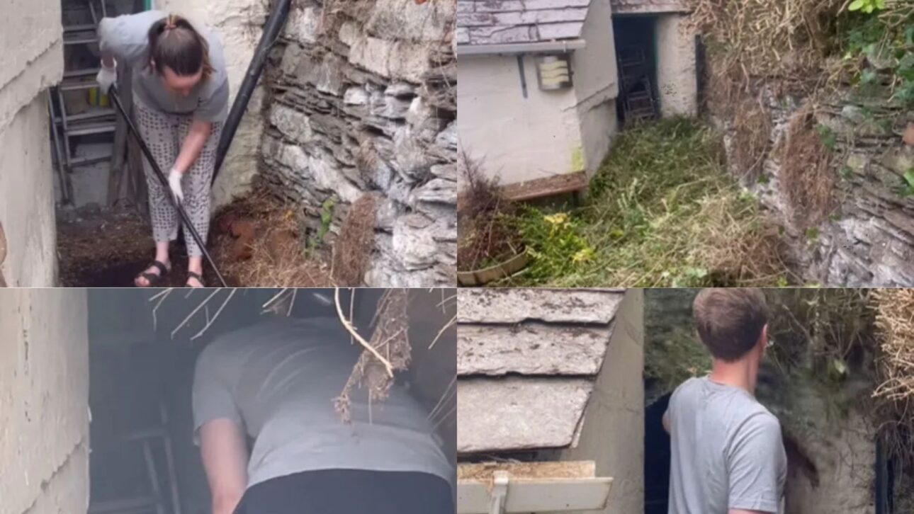 Enquanto continua a escavar, ele avista um espaço e abre caminho para investigar melhor. Instagram/@camelcottagerenovation