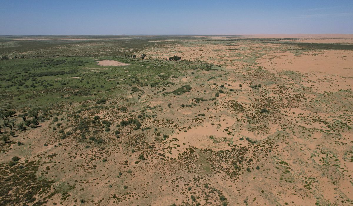 Vista aérea da Grande Muralha Verde da China, um enorme projeto concebido para retardar o avanço dos desertos de Gobi e Taklamakan.
(Crédito da imagem: PEDRO PARDO via Getty Images)