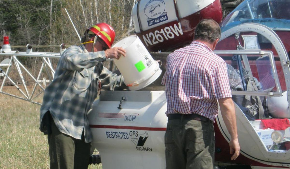 As sementes são misturadas com argila para ajudar na distribuição uniforme, carregadas em um reservatório a bordo do helicóptero e, então, liberadas logo acima das copas das árvores. Imagem: Minnesota DNR