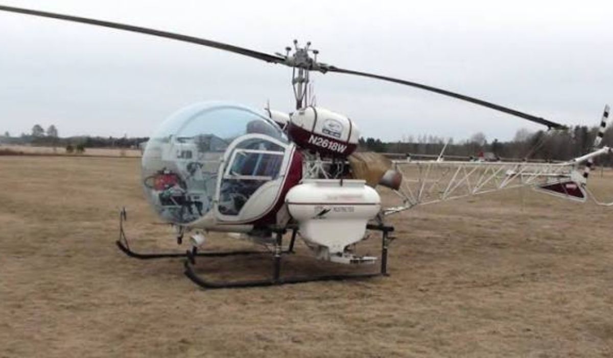 O DNR de Minnesota contratou a realização de semeadura aérea em 19 florestas estaduais remotas com pinheiro-de-banks, pinheiro-branco e espruce-preto. Imagem: Minnesota DNR