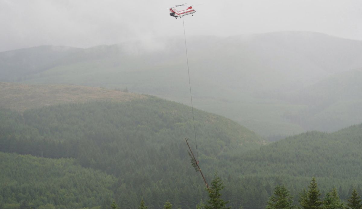 Um helicóptero voa ao longo do vale do rio South Fork Toutle transportando um tronco grande para o projeto de restauração de habitat de salmão do Lower Columbia Fish Enhancement Group. Nos últimos anos, o grupo colocou centenas de troncos dentro e ao longo do rio South Fork Toutle. (Imagem: Lower Columbia Fish Enhancement Group)