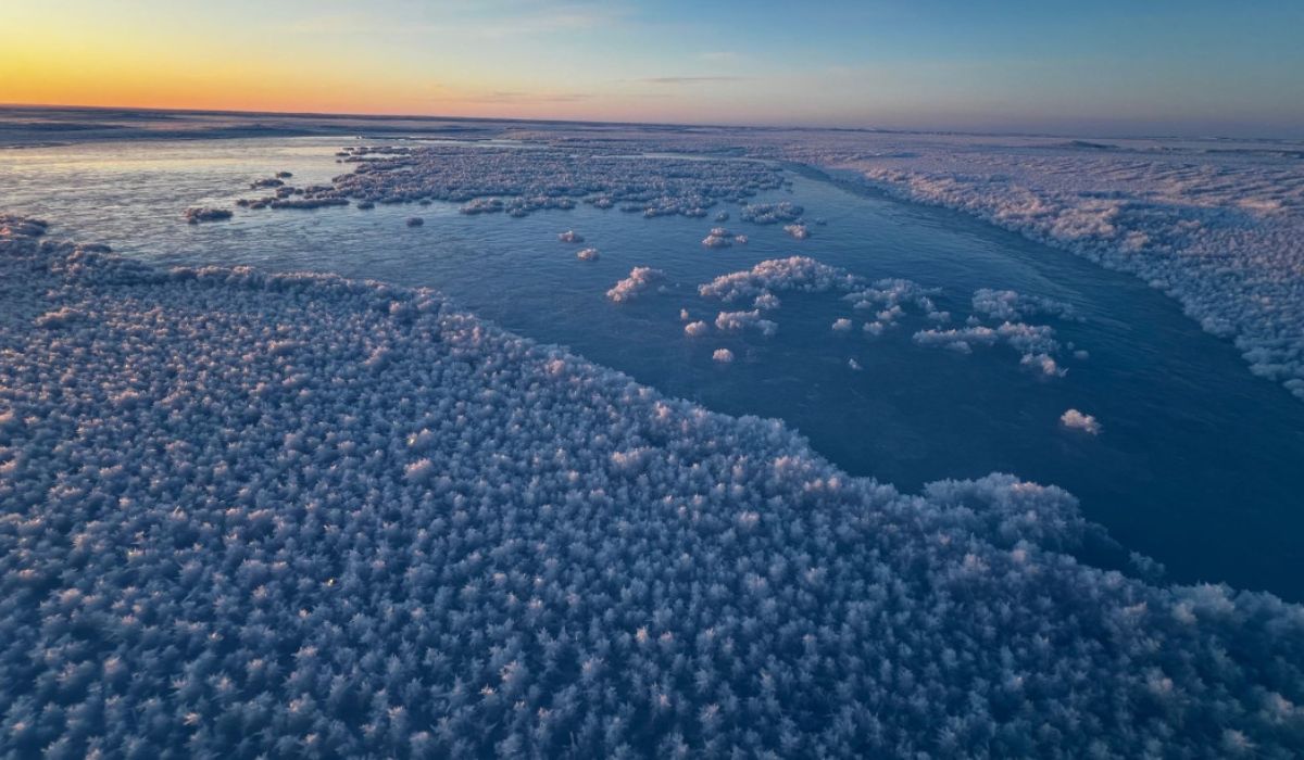 Sea water spread over the surface begins to freeze in one of the experimental areas of Cambridge Bay, where researchers tested the artificial thickening of the ice. Credit: Jacob Pantling/Centre for Climate Repair.