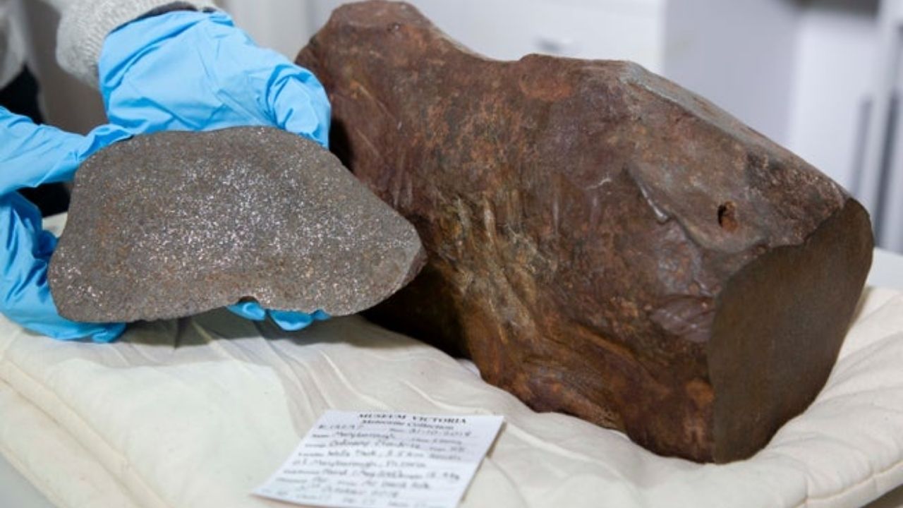 Meteorito achado com detector de metais teve rocha levada ao Museu de Melbourne e revelou material antigo do Sistema Solar.