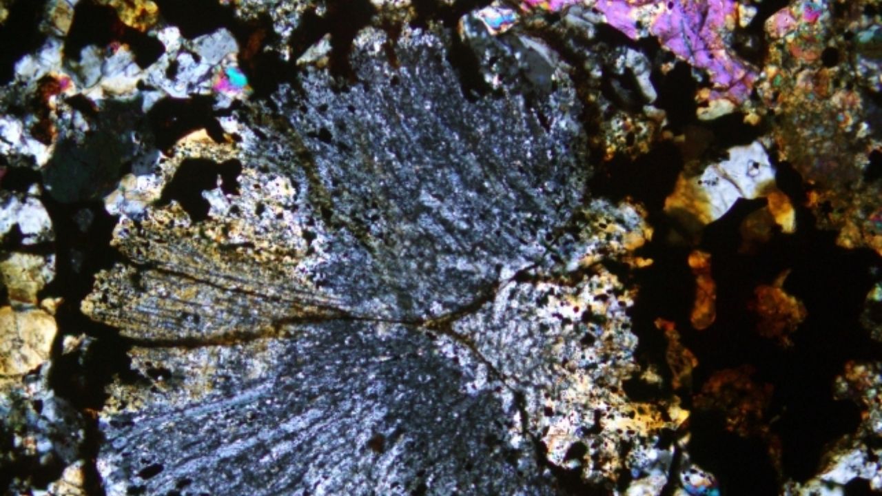 Meteorito achado com detector de metais teve rocha levada ao Museu de Melbourne e revelou material antigo do Sistema Solar.
